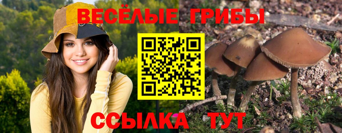 Саров  Псилоцибиновые грибы мухоморы  Псилоцибиновые грибы прущие грибы  что такое наркотик  Вход с VPN 